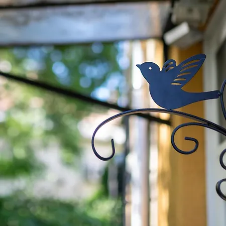 Sunbird *