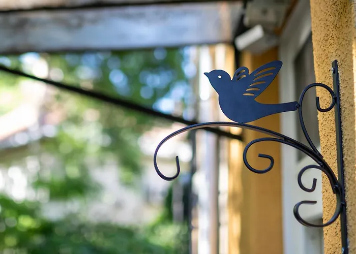 Sunbird *